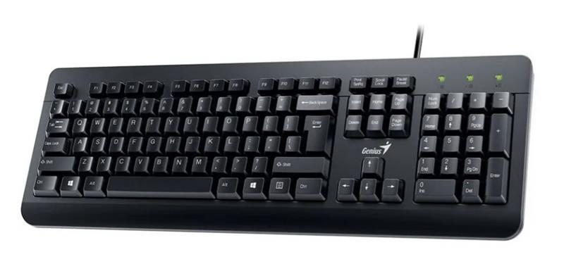 COMBO TECLADO MOUSE GENIUS KM 160 WIRED